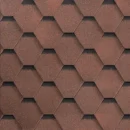 Мягкая черепица Сальса Личи